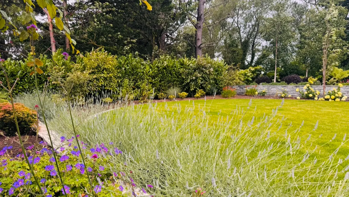 1031859f f811 436d b07a 6ef8650fc633 1 105 c