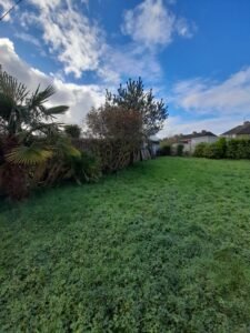 whatsapp image 2026 02 10 at 8.40.42 pm